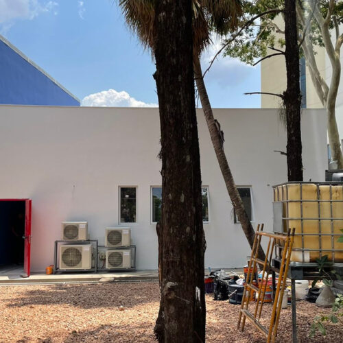 corporativo5